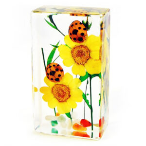 Ladybugs preserved with flowers resin display
