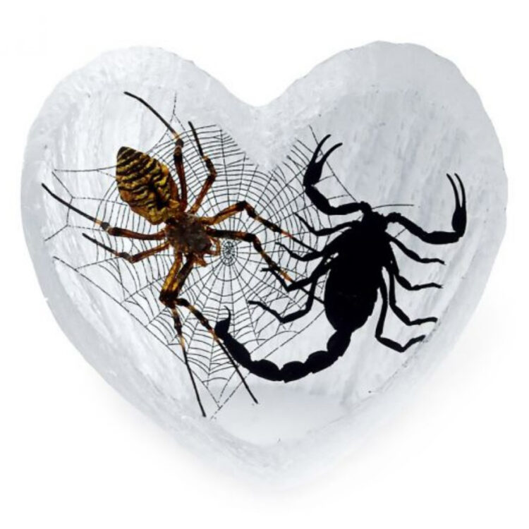 Orb weaver spider + black scorpion on WEB HEART resin display